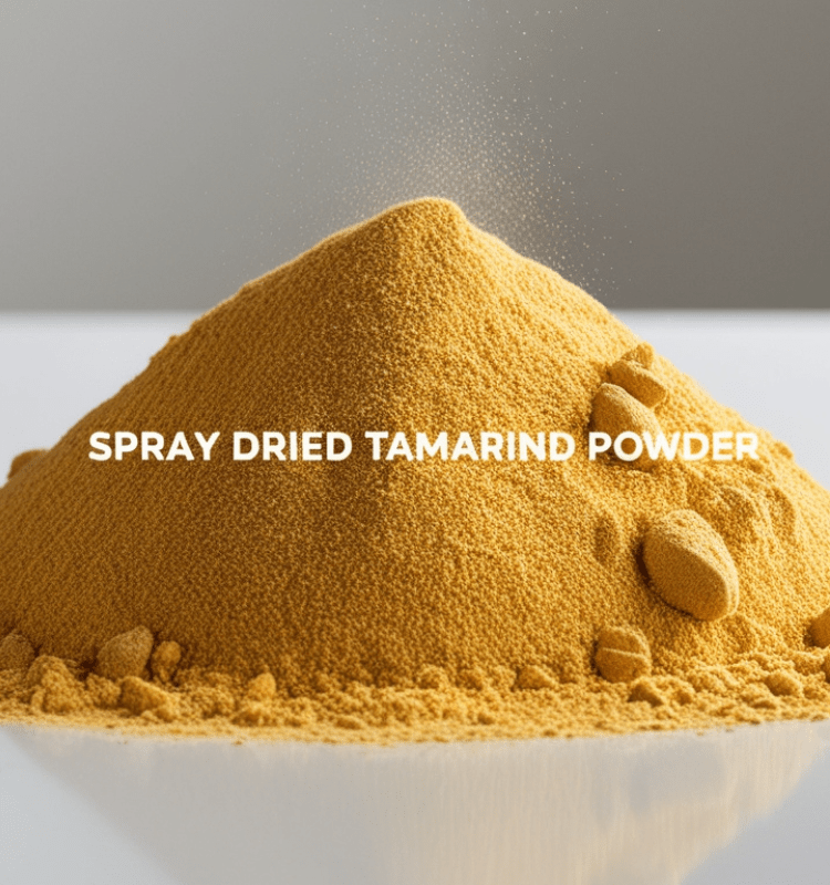 SPRAY DRIED TAMARIND POWDER