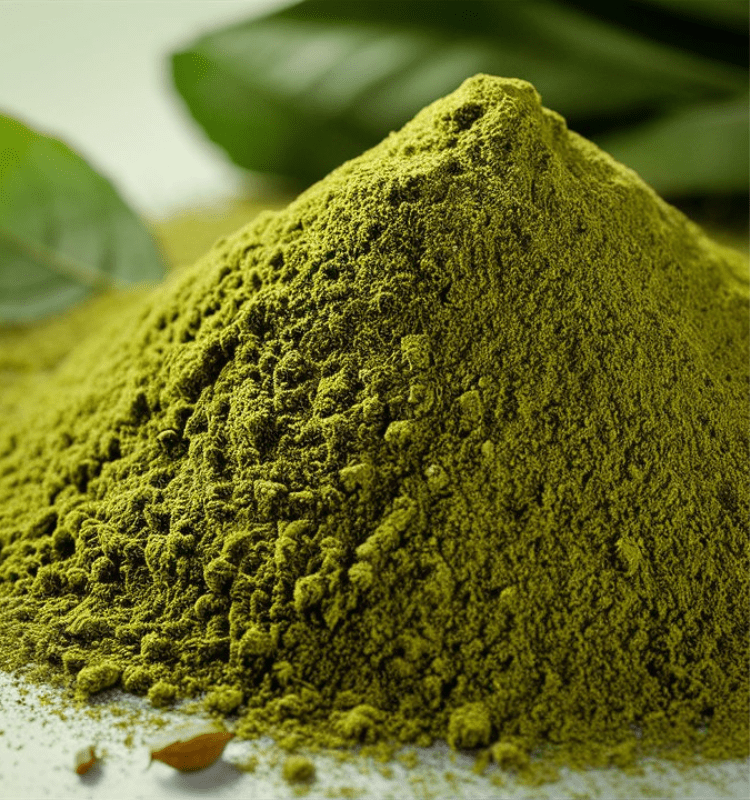 CURRY LEAVES POWDER