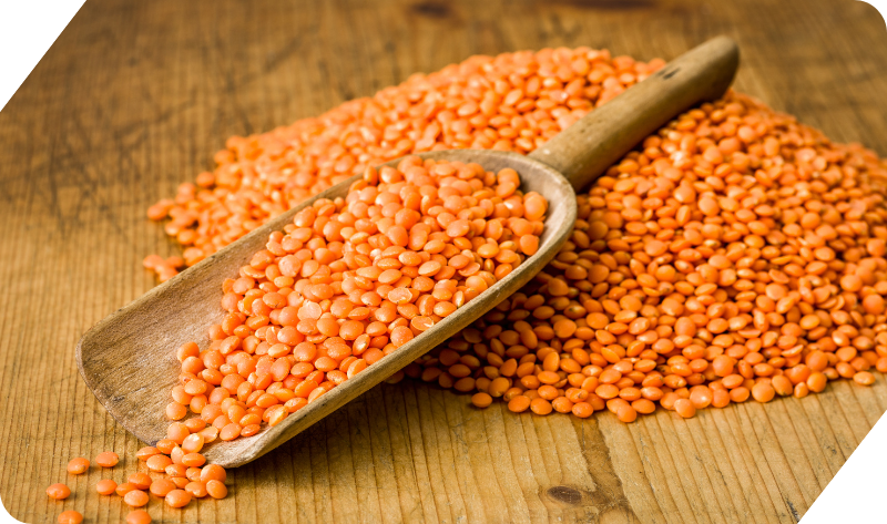 RED LENTILS (MASOOR DAL)