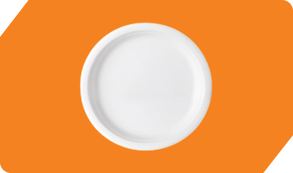 9 Inch Round Plate