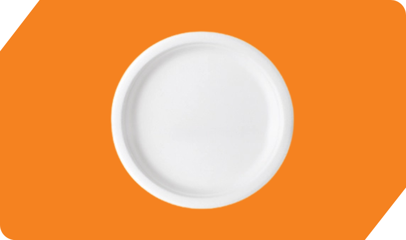 9 Inch Round Plate