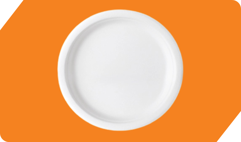 10 Inch Round Plate