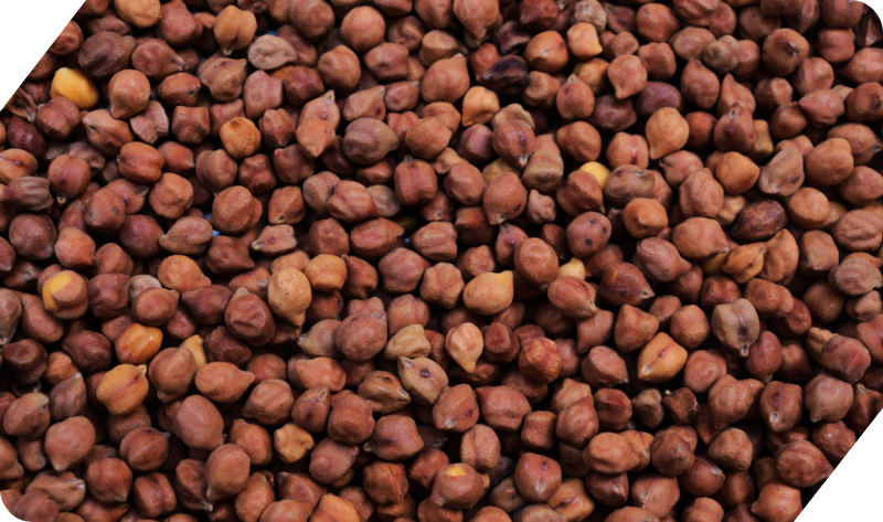 CHANA (BENGAL GRAM)