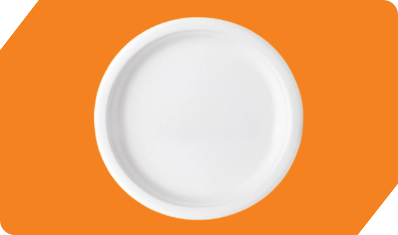11 Inch Round Plate