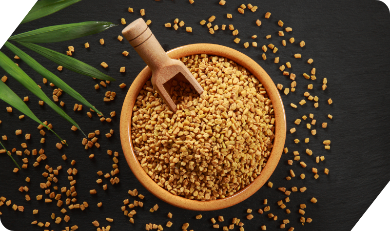 FENUGREEK (METHI) SEEDS