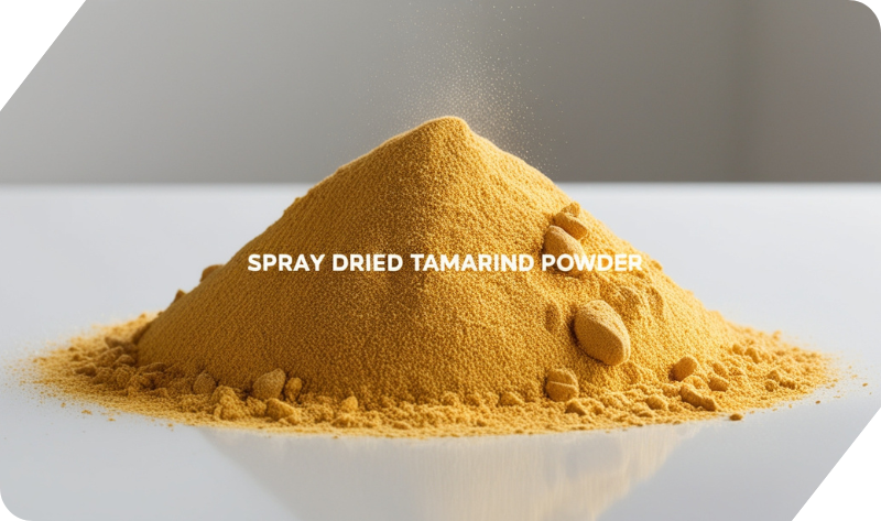 SPRAY DRIED TAMARIND POWDER