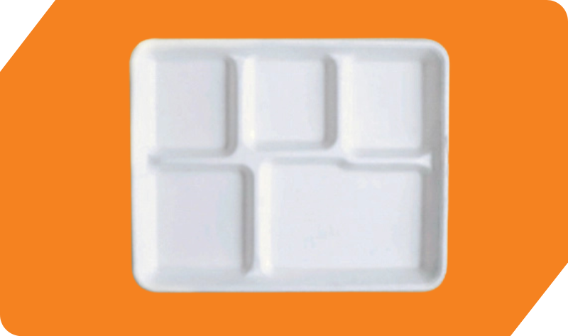 5 Compartment School Tray