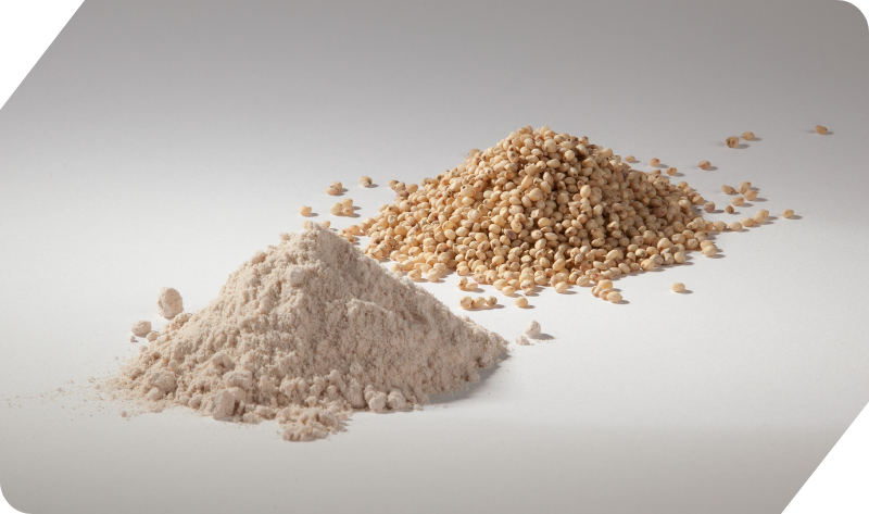 SORGHUM FLOUR (JOWAR)