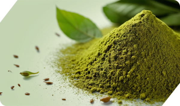 CURRY LEAVES POWDER