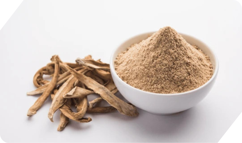 AMCHUR POWDER (DRIED MANGO POWDER)