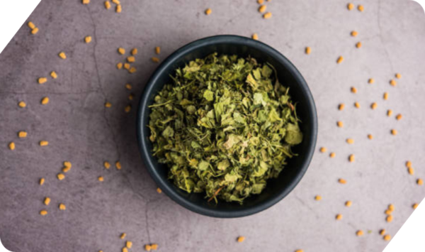 KASURI METHI