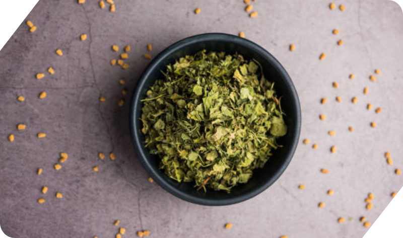 KASURI METHI