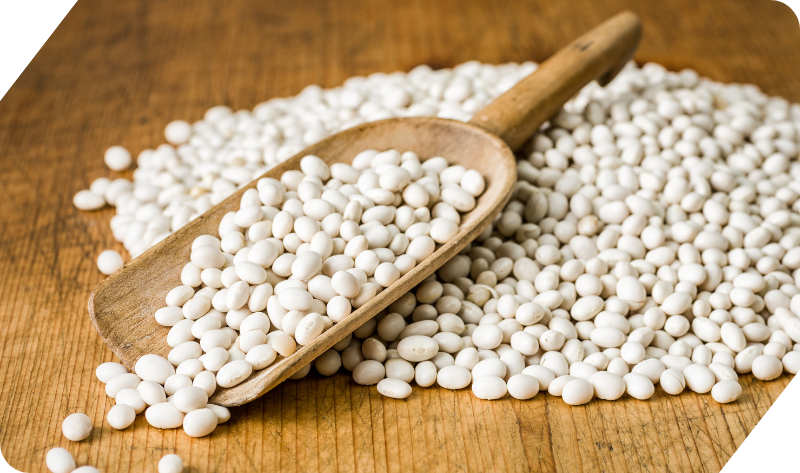 WHITE BEANS