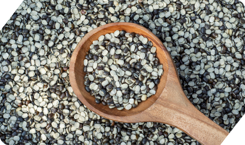 SPLIT BLACK GRAM (URAD DAL)