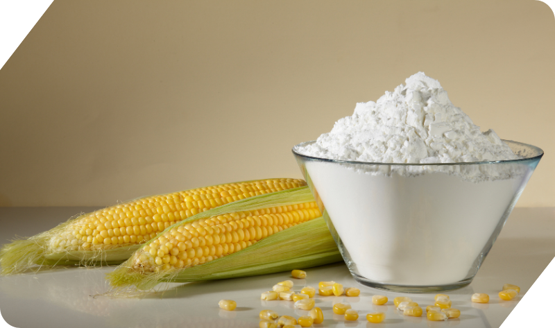 WHITE CORN FLOUR (MAIZE FLOUR)