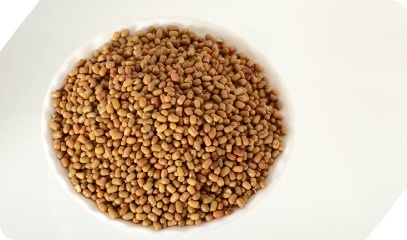 MOTH BEANS (MATKI)