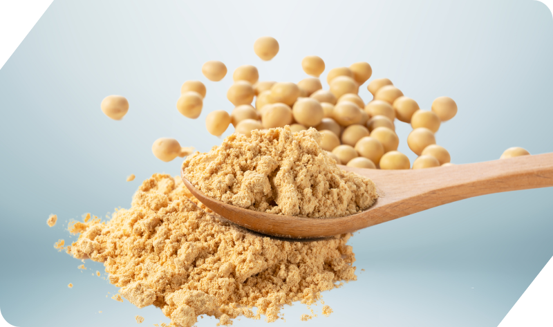 SOYA FLOUR