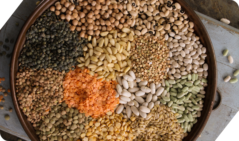 PULSES MIX
