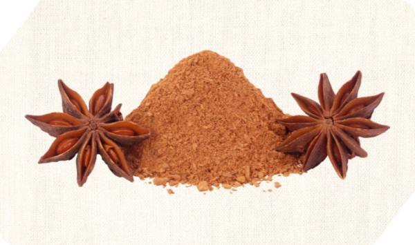 STAR ANISE POWDER